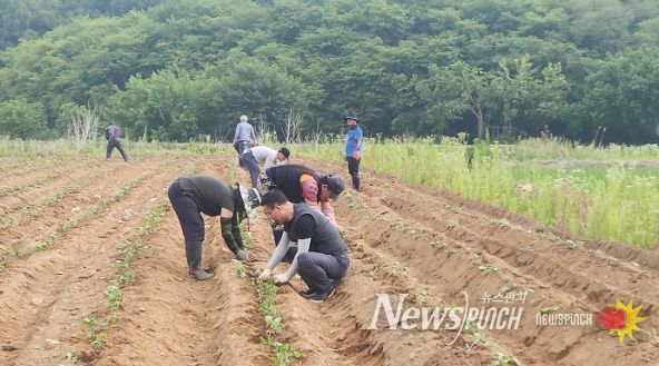 농촌지도자 인천서구연합회, 콩 식재 등 지역사회 재능기부