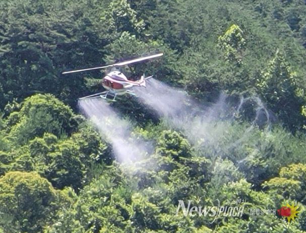 합천군, 밤나무 해충 항공방제 시행