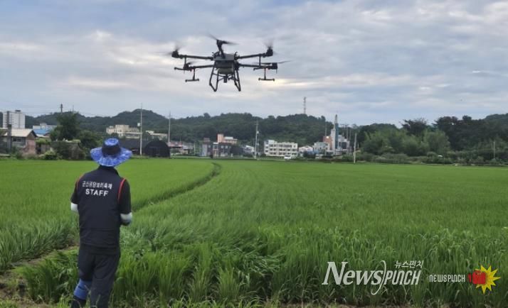 군산시 기후변화 악충, 이화명나방 긴급방제
