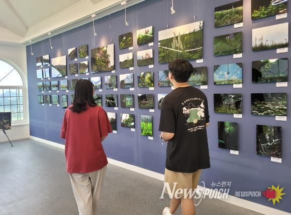 남원시 여름향기 가득한 지리산 허브밸리에서 힐링하세요!
