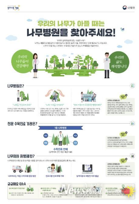 구례군, 나무가 아플 때는 나무병원을 찾아주세요!