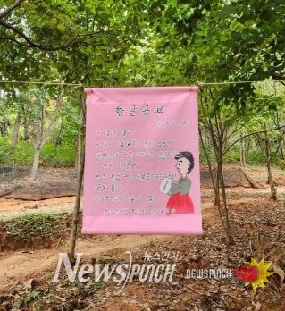 완주 만가리에서 만나는 진달래 어르신의 시화전