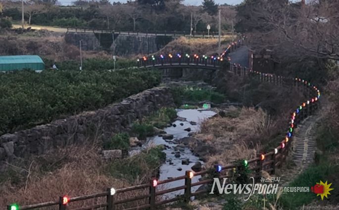 중문동 대포포구 및 선궷내 야간 산책길