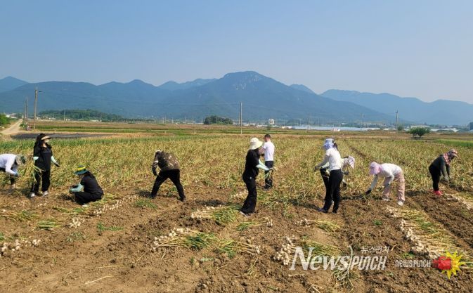 담양군, 일손 부족한 농가에 현장 지원