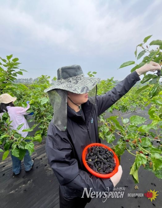 부안군 농업기술센터, 영농철 일손돕기