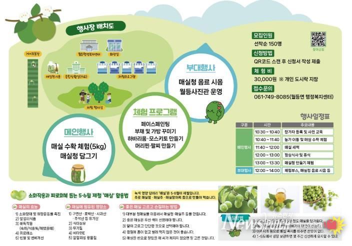 순천시 월등면, '제3회 월등향매실 수확체험행사' 개최
