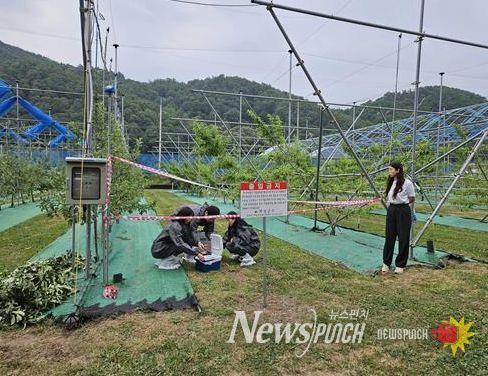 의성군, 화상병 대응 모의훈련 실시