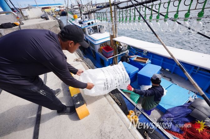 조업 활동 과정에서 발생한 투명 폐페트병을 수거하는 어민
