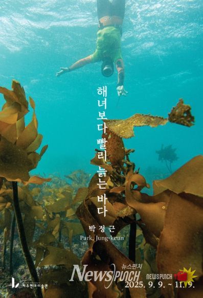 해녀보다 빨리 늙는 바다