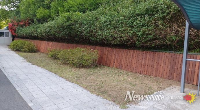 동해시청 편의점 구간 사업 후