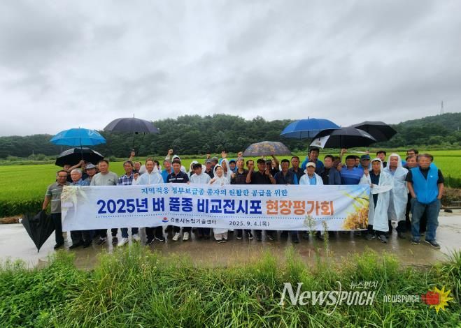 강릉시, 벼 품종 비교전시포 현장평가회 개최