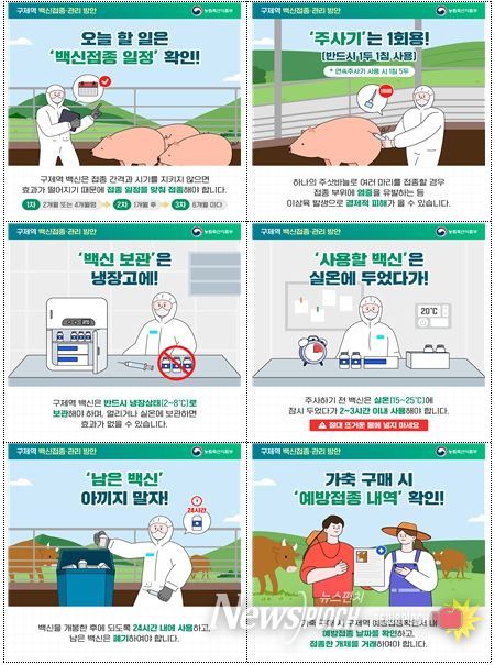 구제역백신 접종관리 홍보용 카드뉴스