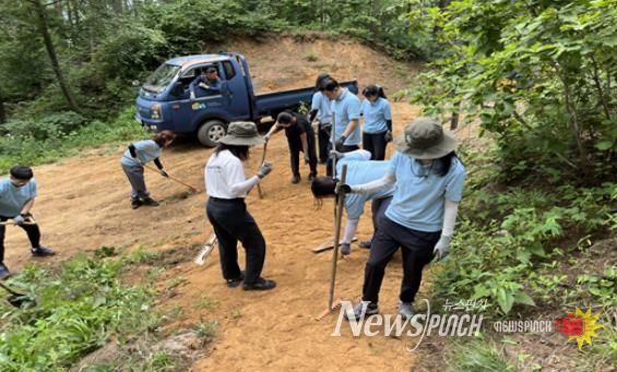 국립횡성숲체원 맨발숲길의 새로운 변신