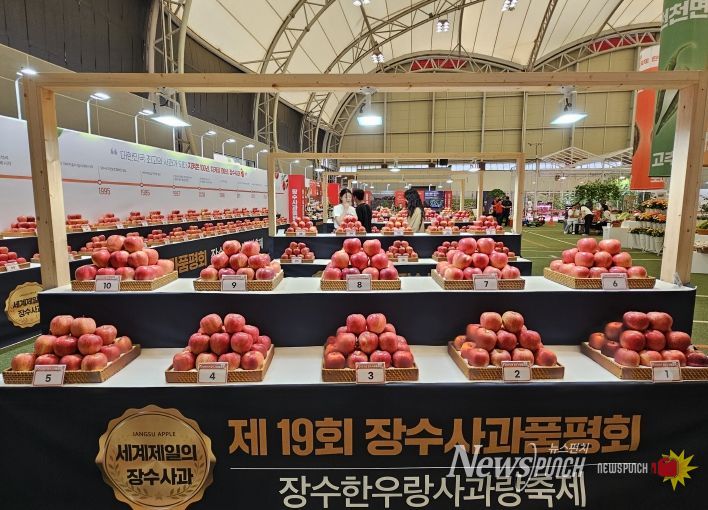 장수사과 품평회