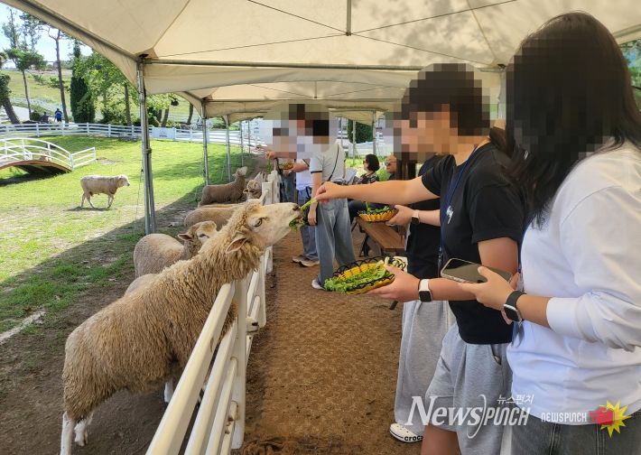영덕복지재단, 취약가구 힐링 여행으로 마음을 채우다