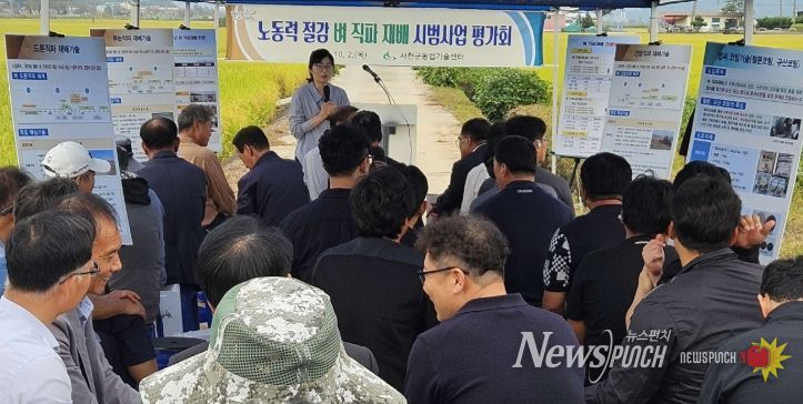 서천군, 벼 직파재배 현장 평가회