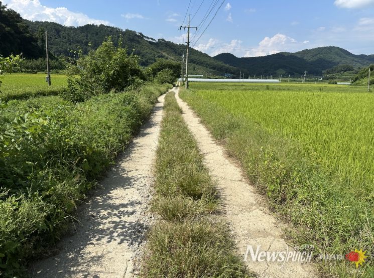 가을철 농업생산기반시설 신속 정비 본격 추진