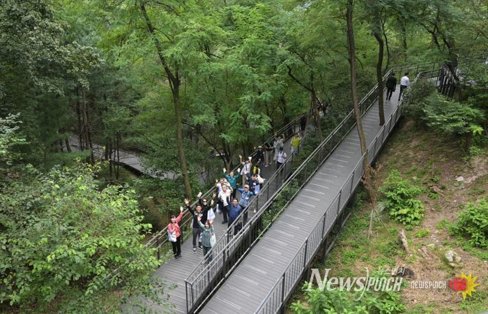 홈즈리더 남산자락숲길 산책