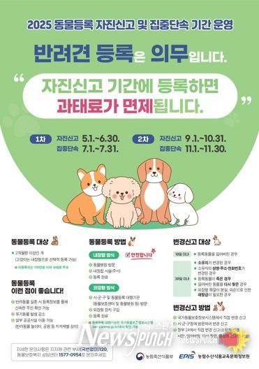 정읍시, 11월 한 달간 '반려동물 미등록' 집중단속… 최대 과태료 60만원
