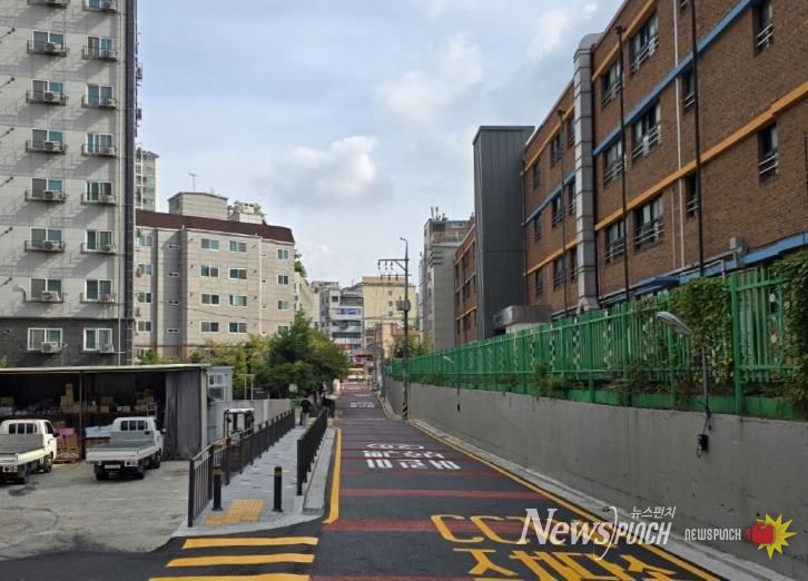 도로 개설공사 후