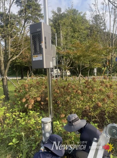 해충 퇴치를 위해 친환경 포충기를 설치하고 있다