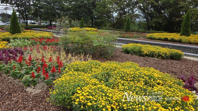 전북도 산림환경연구원, 고원화목원 ‘가을꽃 힐링정원’ 조성