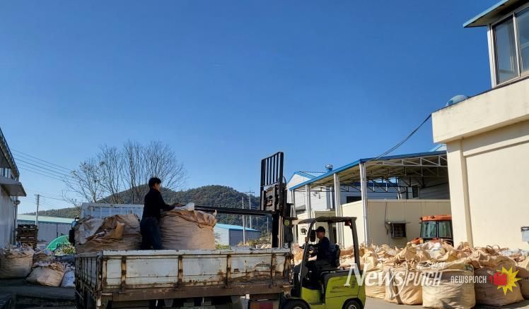 화순군, 지리적 표시 제42호 ‘화순 작약’ 경쟁력 강화 박차