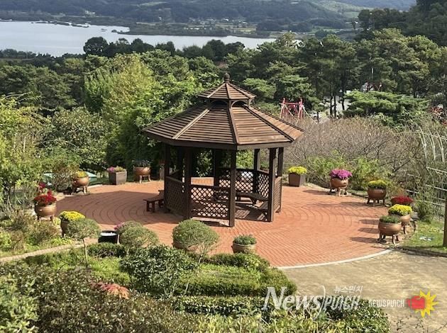 봉수산수목원 내 국화꽃 만개 모습