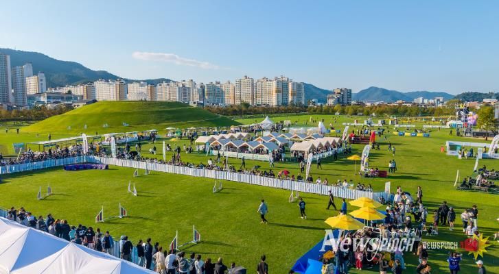 2025년 반려동물 문화한마당 행사장 전경