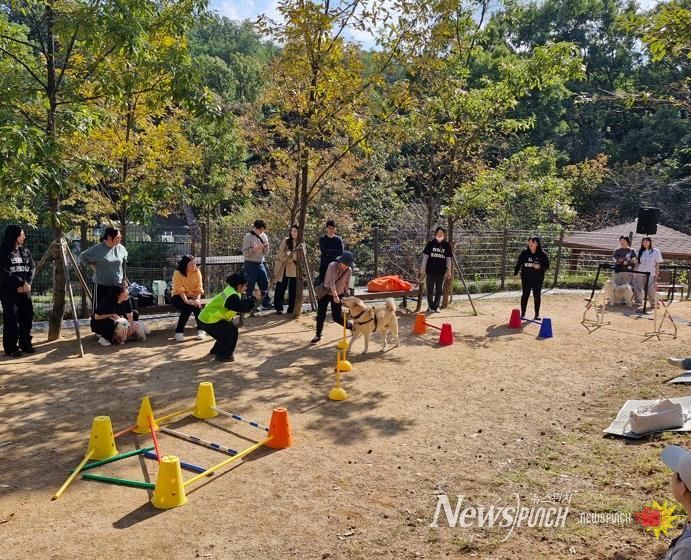 은평댕댕 가을소풍 사진