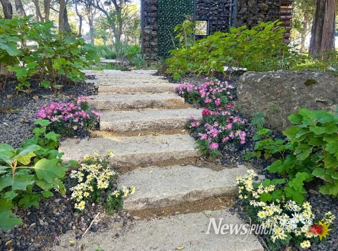 진주시 ‘초전공원’ 가을꽃 식재 ‘눈길’
