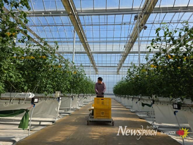 남원시, 26년 청년창업 스마트팜 패키지 지원사업 예산확보