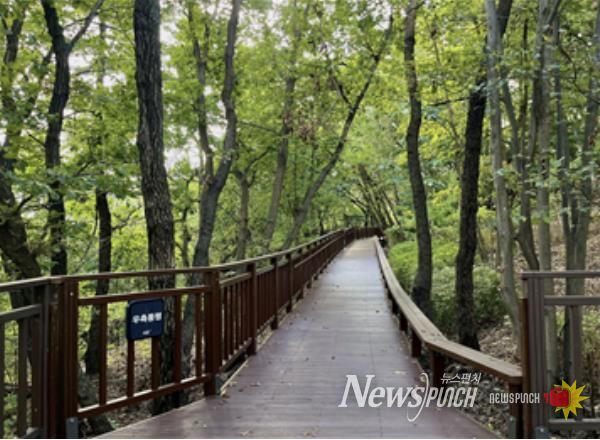 ‘서리풀공원 무장애숲길 연결로’ 조성