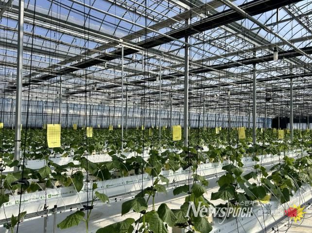 상주시, 농업 현장 맞춤 낮은단계 스마트팜, 실증연구 시작