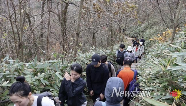 보은군, 제23회 속리산 문장대 등반대회 개최