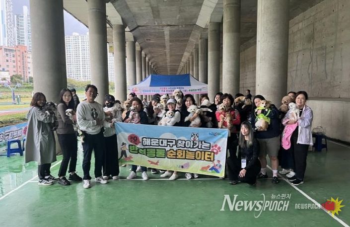 해운대구 반려동물