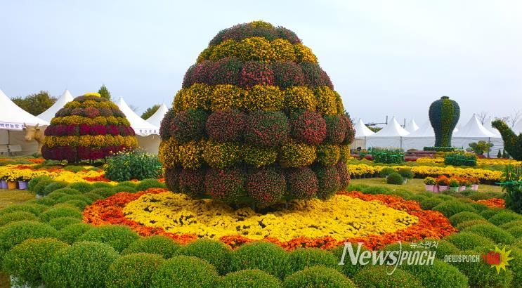 제15회 부안가을愛국화 전시회 개최