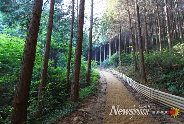 고흥군, 2025년 SRT 어워드 ‘국내 최고의 여행지’ 2년 연속 대상 수상