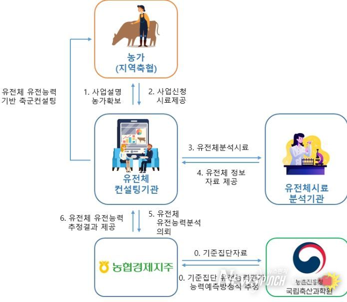 한우 암소 유전체 유전능력 예측 서비스 체계도