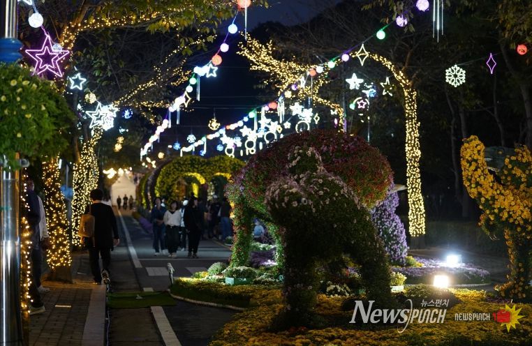 해남미남축제 즐길거리 (국화향연)