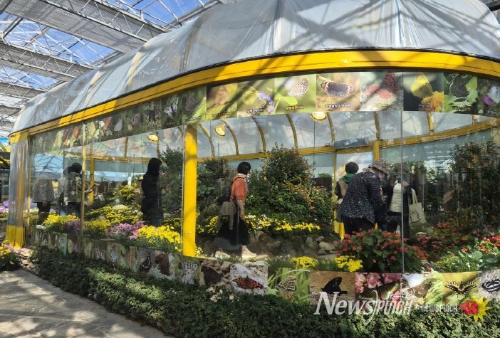 국향 속 나비의 날갯짓…함평군, 생태축제의 새 장 열다