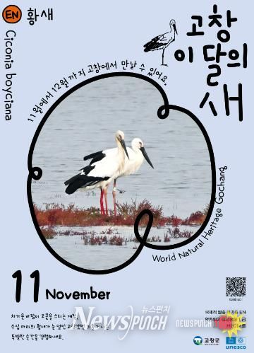 고창군, 11월 고창갯벌 이달의 새로 ‘황새’ 선정