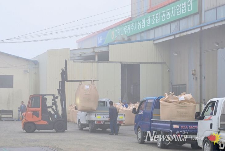 2025년산 공공비축미곡 건조벼 첫 매입 시작