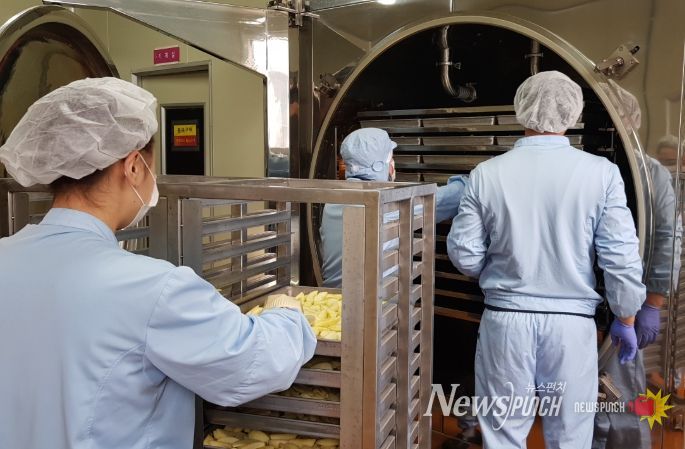 농산물종합가공센터 동결건조작업