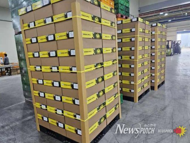 보은군, ‘결초보은 사과’ 베트남 하노이로 수출