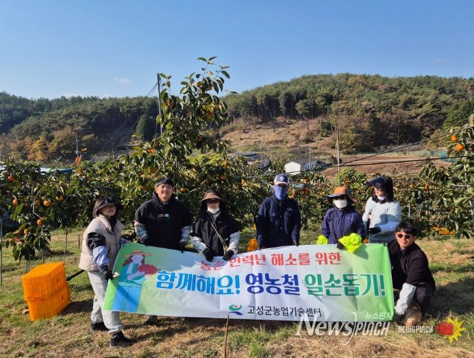 고성군, 단감 수확철 맞아 농촌일손돕기