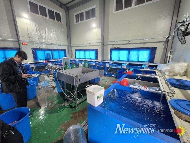 국내산 민물장어로 둔갑된 중국산 장어 현황판을 확인 중인 중부해경과 수품원 공무원