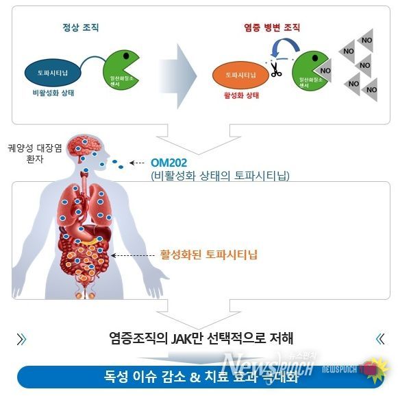 K-MEDI hub, 궤양성 대장염 치료제 원스톱 개발 지원