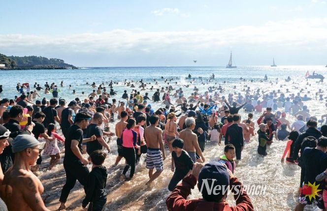 국제펭귄수영대회