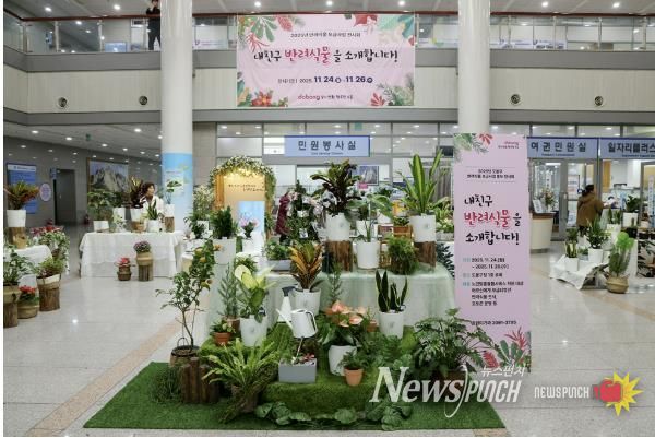 2025년 반려식물 전시회 개최 사진